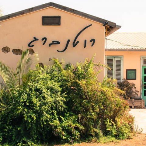 תמונת אווירה