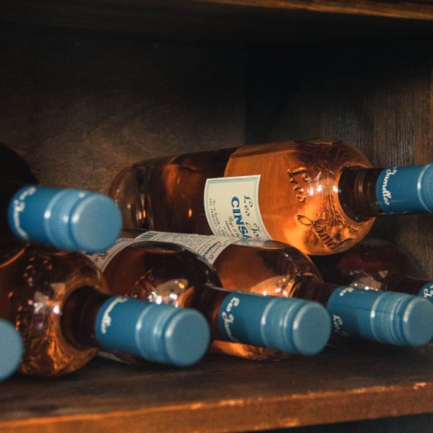 תמונת אווירה