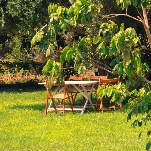 תמונת אווירה